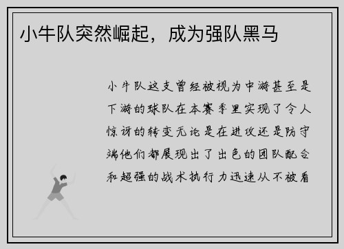 小牛队突然崛起，成为强队黑马